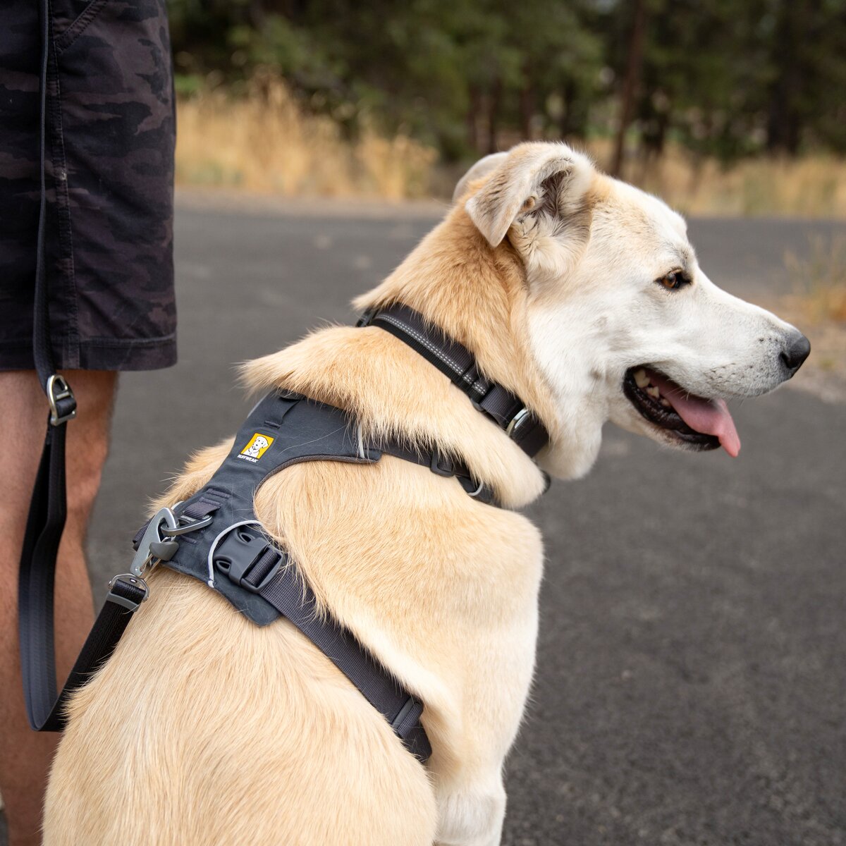 Ruffwear Front Range® dog harness new model (Size XXS (chest 33-43 cm) – Basalt Gray)