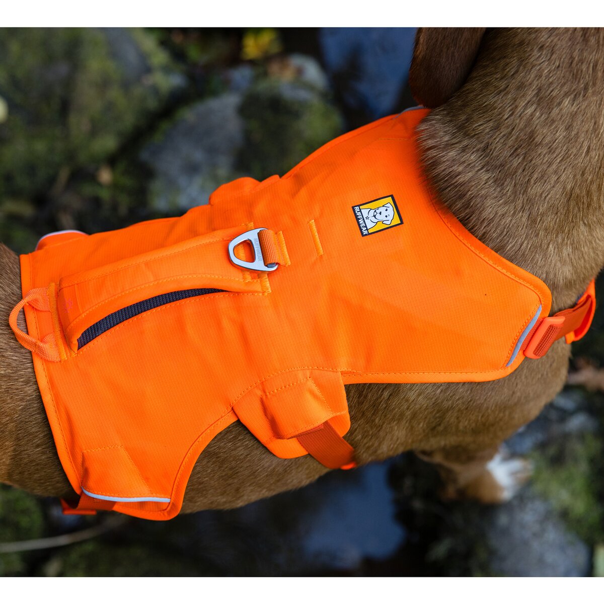 Ruffwear suņu iemaukti Web Master™ (izmērs XXS (krūšu apkārtmērs 33-43 cm) — oranžs)