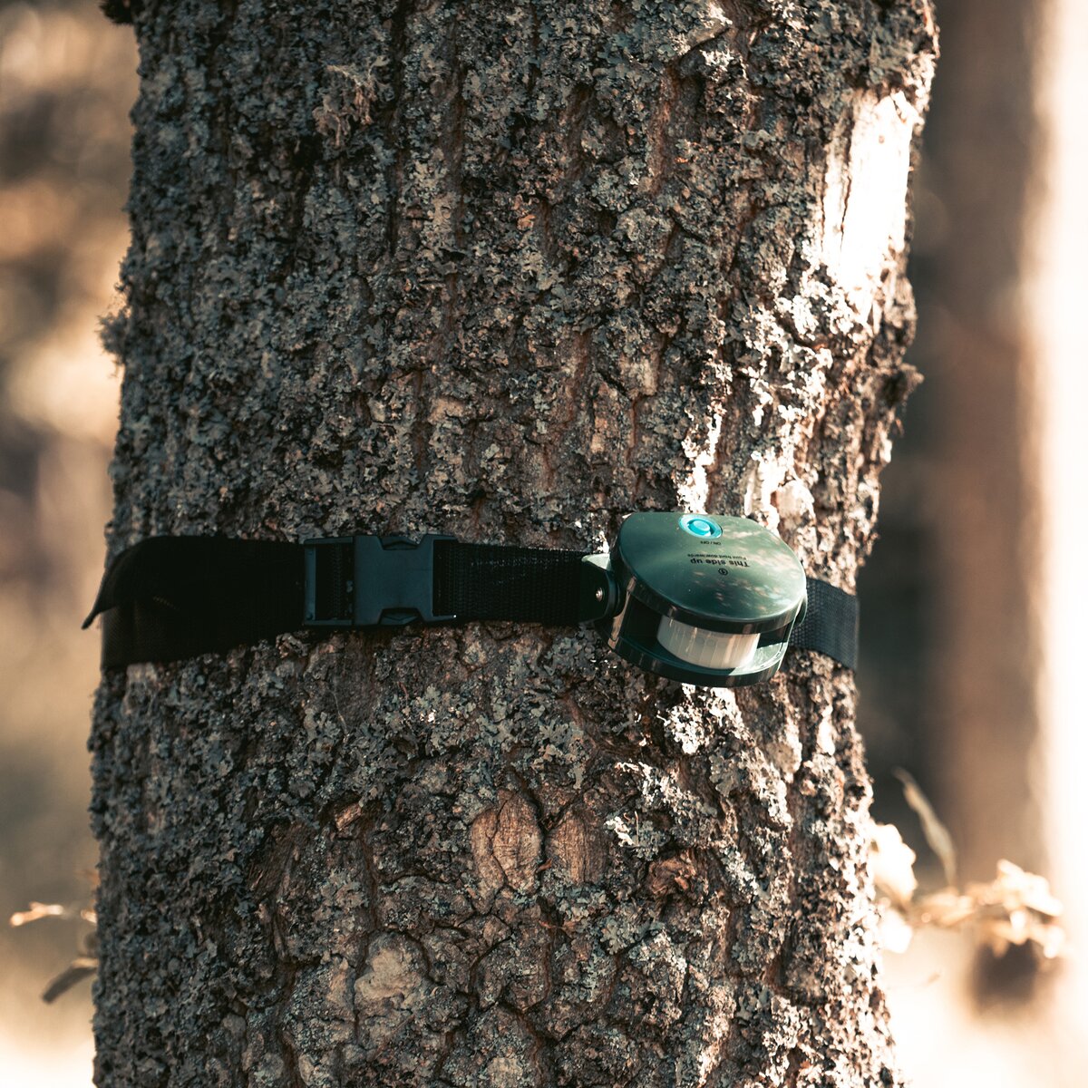 Berger & Schröter Wild detector set “Hunting Alarm”