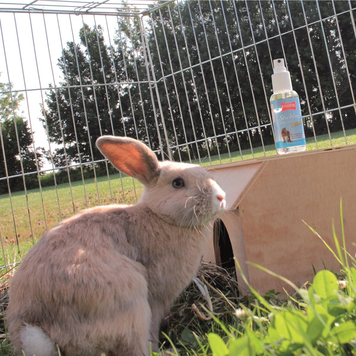 BALLISTOL Insektu atbaidīšanas līdzeklis bez dzeloņiem dzīvniekiem (sūknējams aerosols, 100 ml) 0,1 l