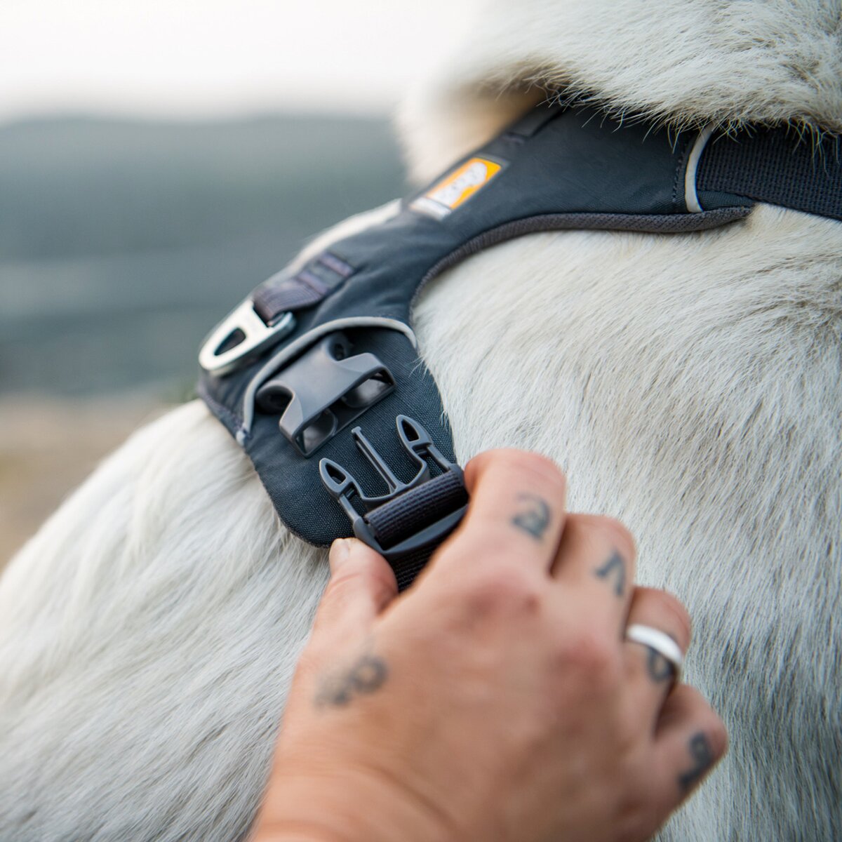 Ruffwear Front Range® dog harness new model (Size XXS (chest 33-43 cm) – Basalt Gray)