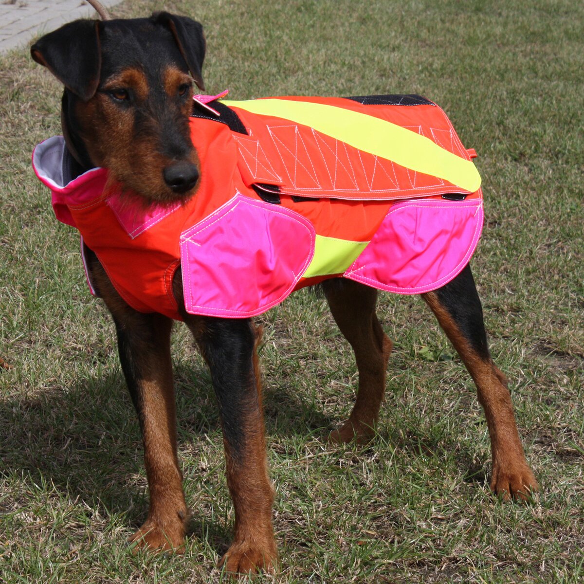 Out Dog Dog protective vest standard (Chest circumference 75 cm – male)