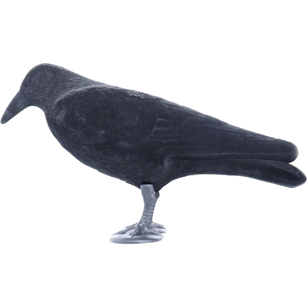 Parforce mānekļa vārna
