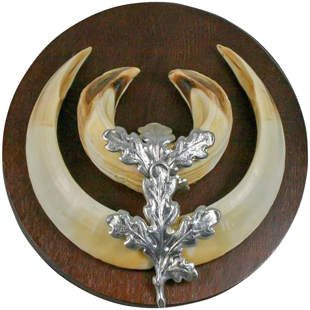 EUROHUNT Ozollapu lapas (10 gab.)