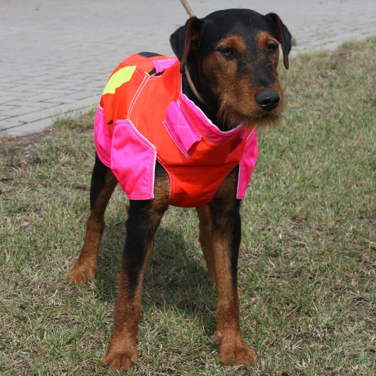 Out Dog Dog protective vest standard (Chest circumference 75 cm – male)