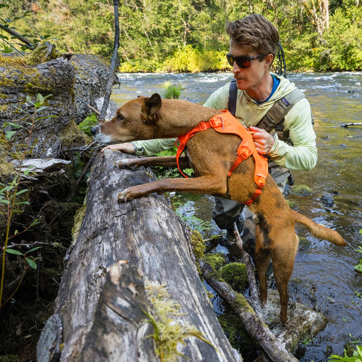 Ruffwear suņu iemaukti Web Master™ (izmērs XXS (krūšu apkārtmērs 33-43 cm) — oranžs)
