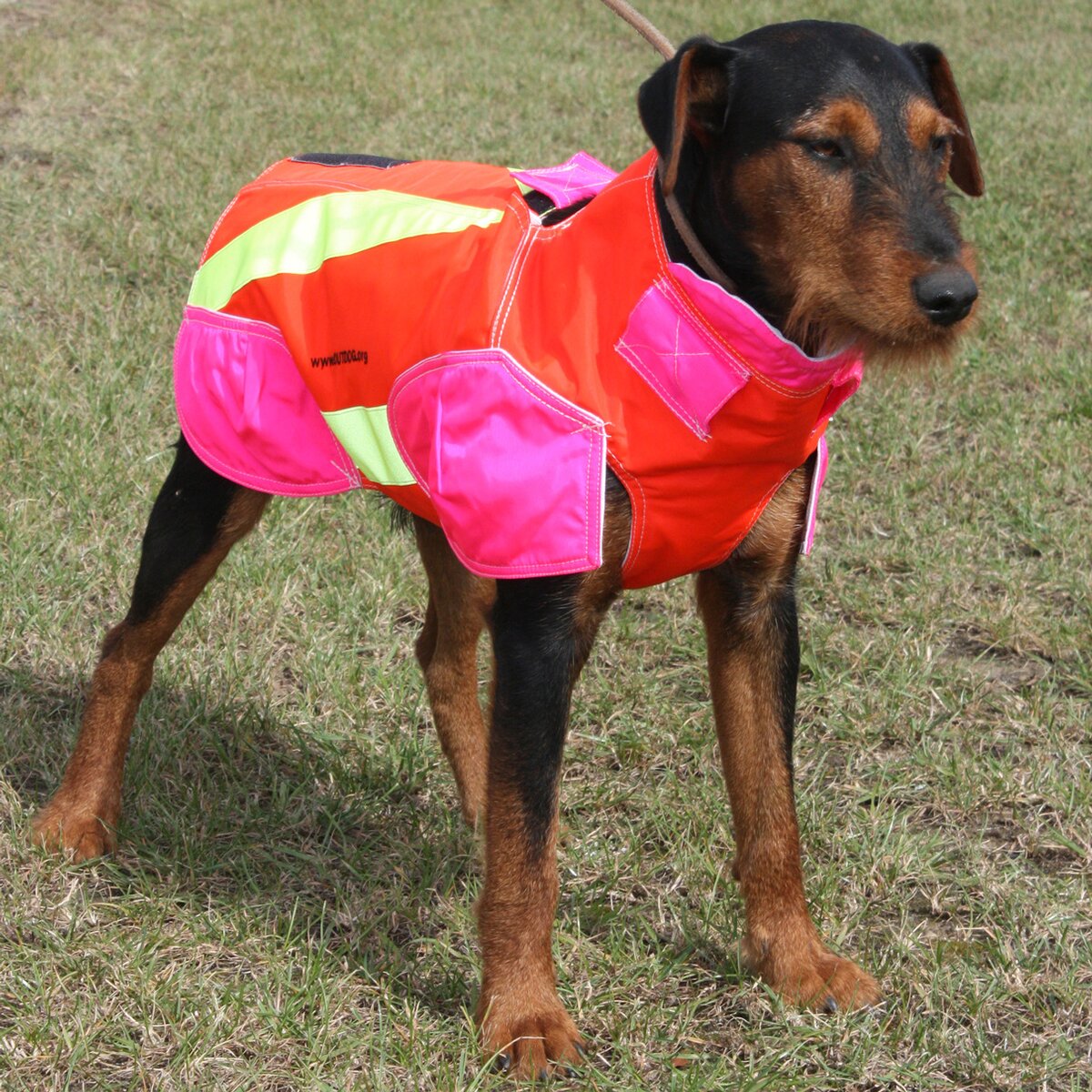Out Dog Dog protective vest standard (Chest circumference 75 cm – male)