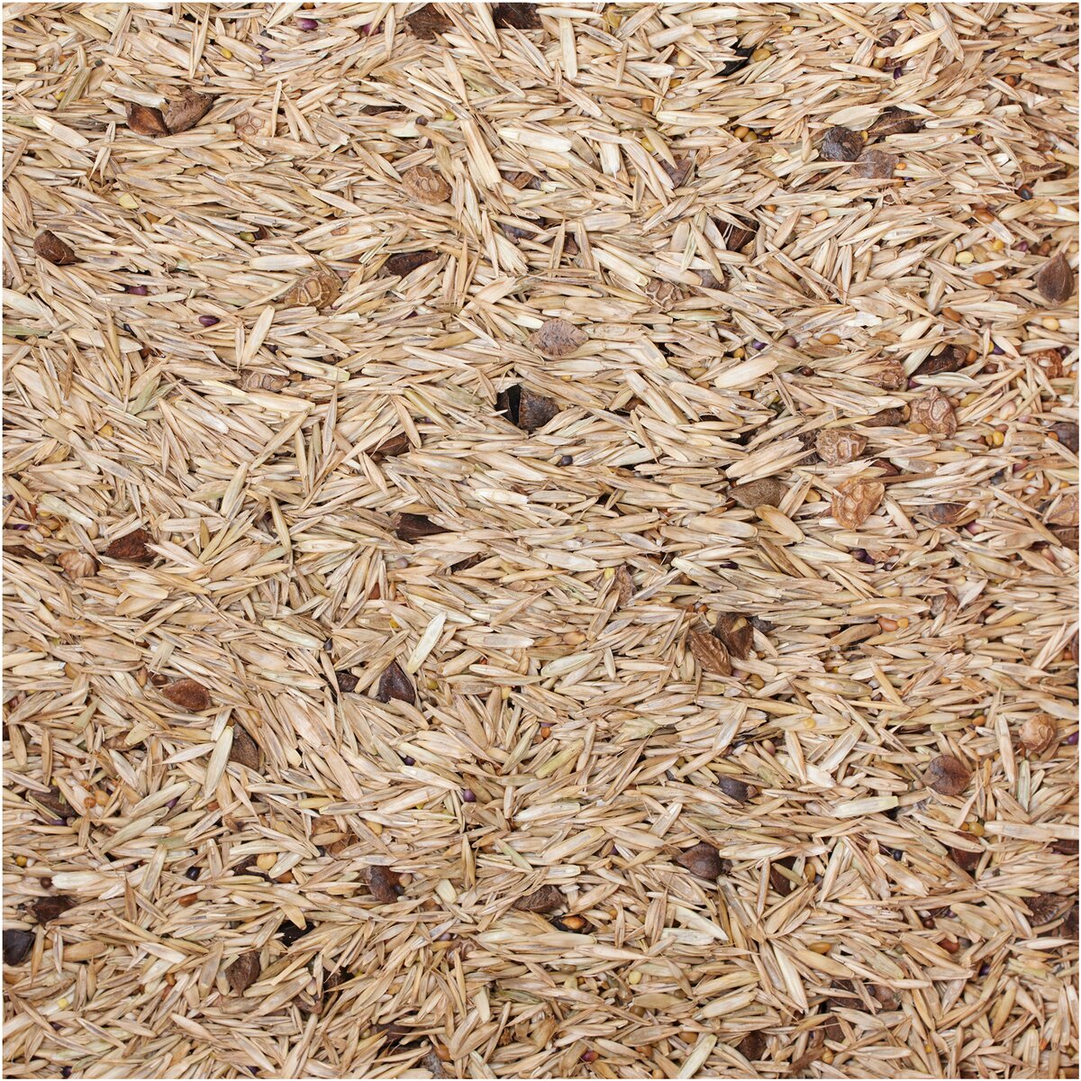BSV Saaten Sēklu maisījums WaidGreen® Wildwiese 10 kg