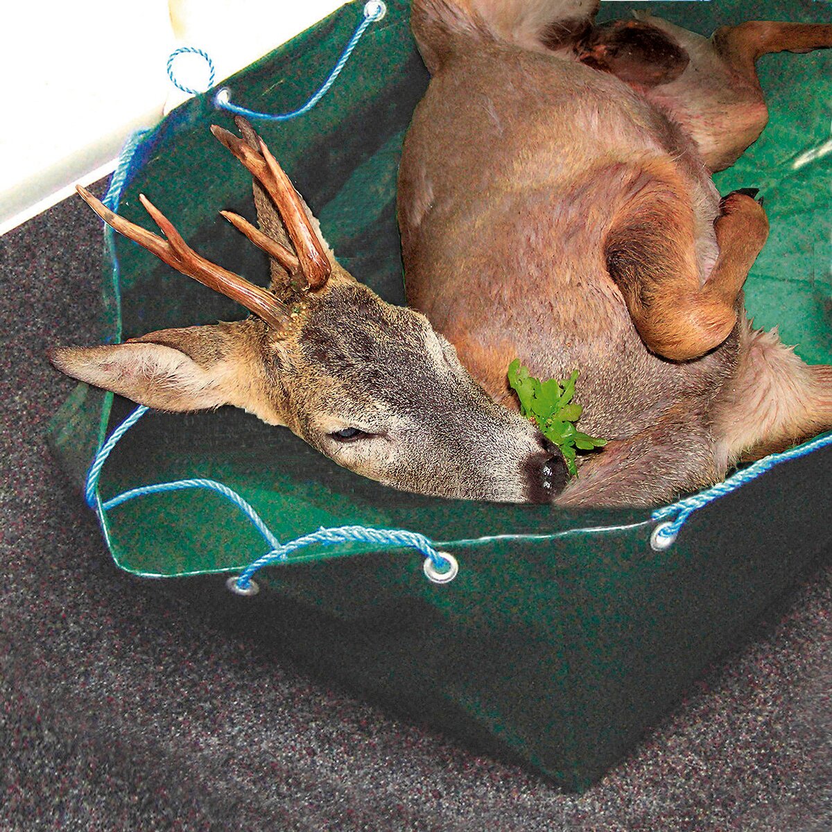Wald & Forst saliekamā medību bļoda