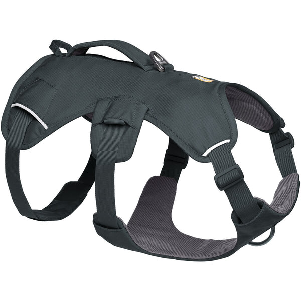 Ruffwear Dog Harness Web Master™ (Izmērs XXS (krūšu apkārtmērs 33–43 cm) – Bazalta pelēks)