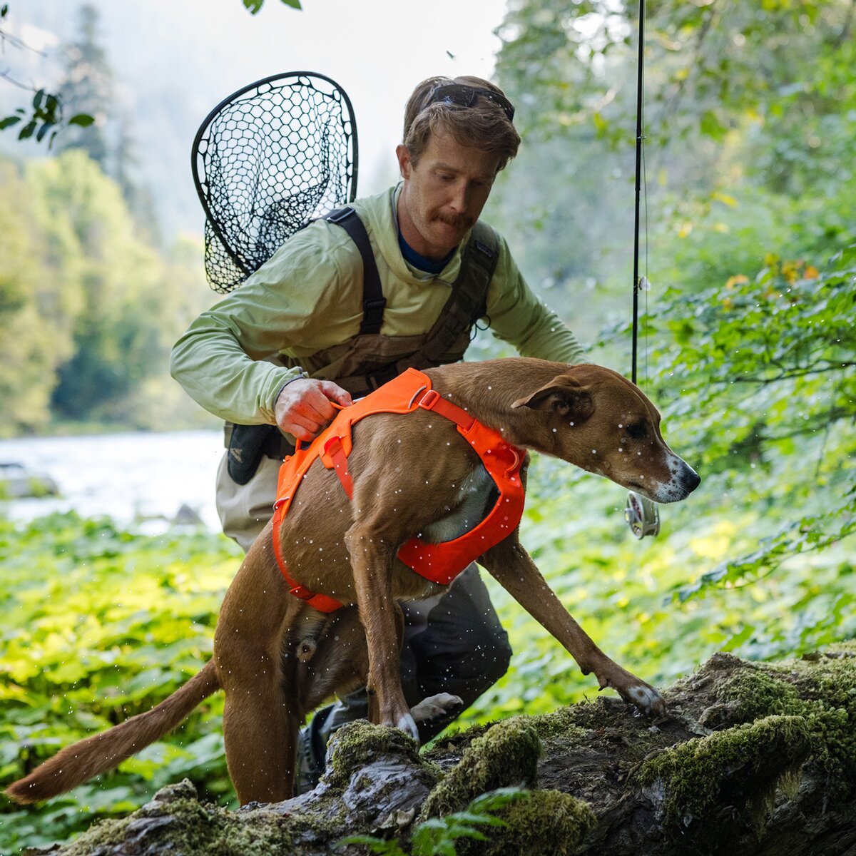 Ruffwear suņu iemaukti Web Master™ (izmērs XXS (krūšu apkārtmērs 33-43 cm) — oranžs)
