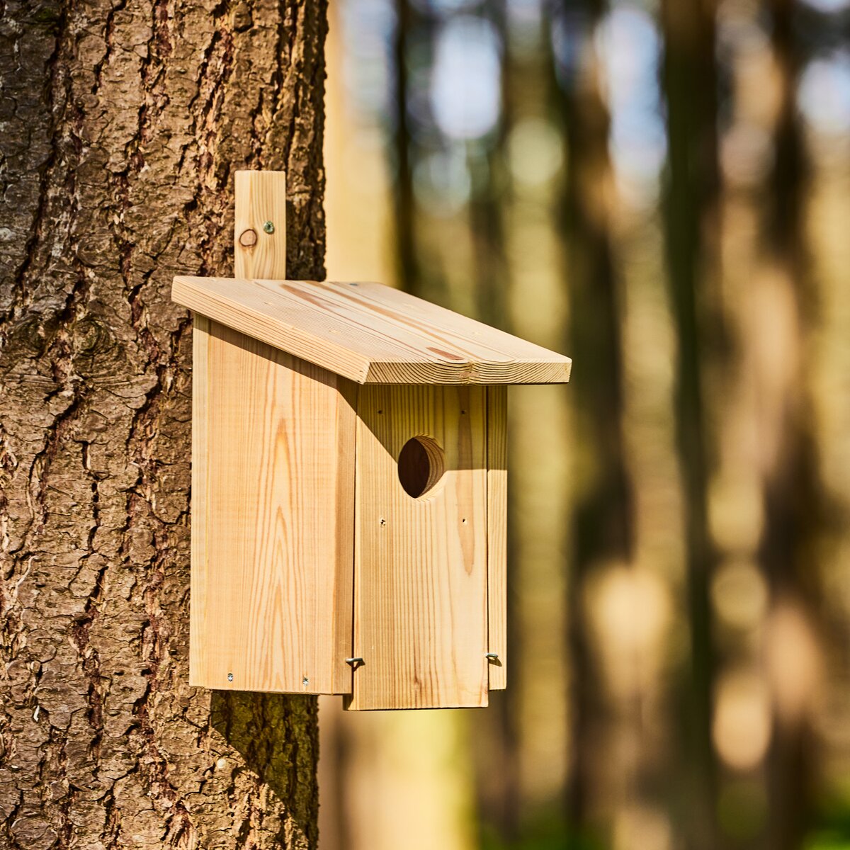 Wald & Forst Dobuma ligzdošanas kaste (cauruma izmērs 32 mm)