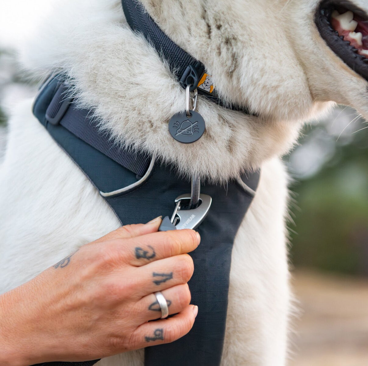 Ruffwear Front Range® dog harness new model (Size XXS (chest 33-43 cm) – Basalt Gray)