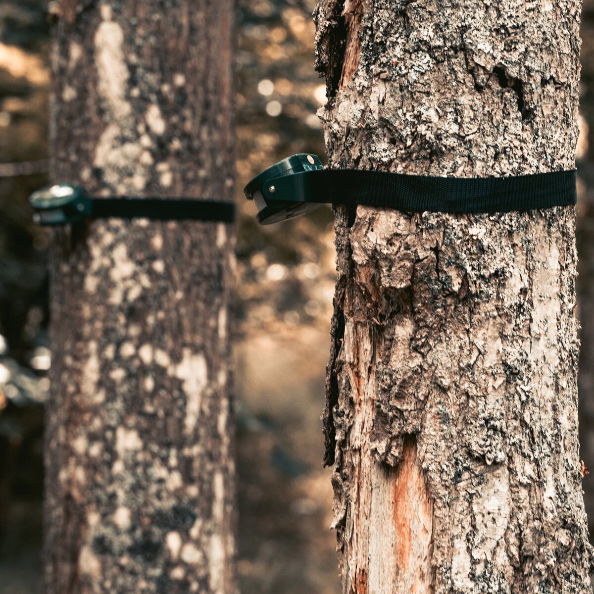 Berger & Schröter Wild detector set “Hunting Alarm”