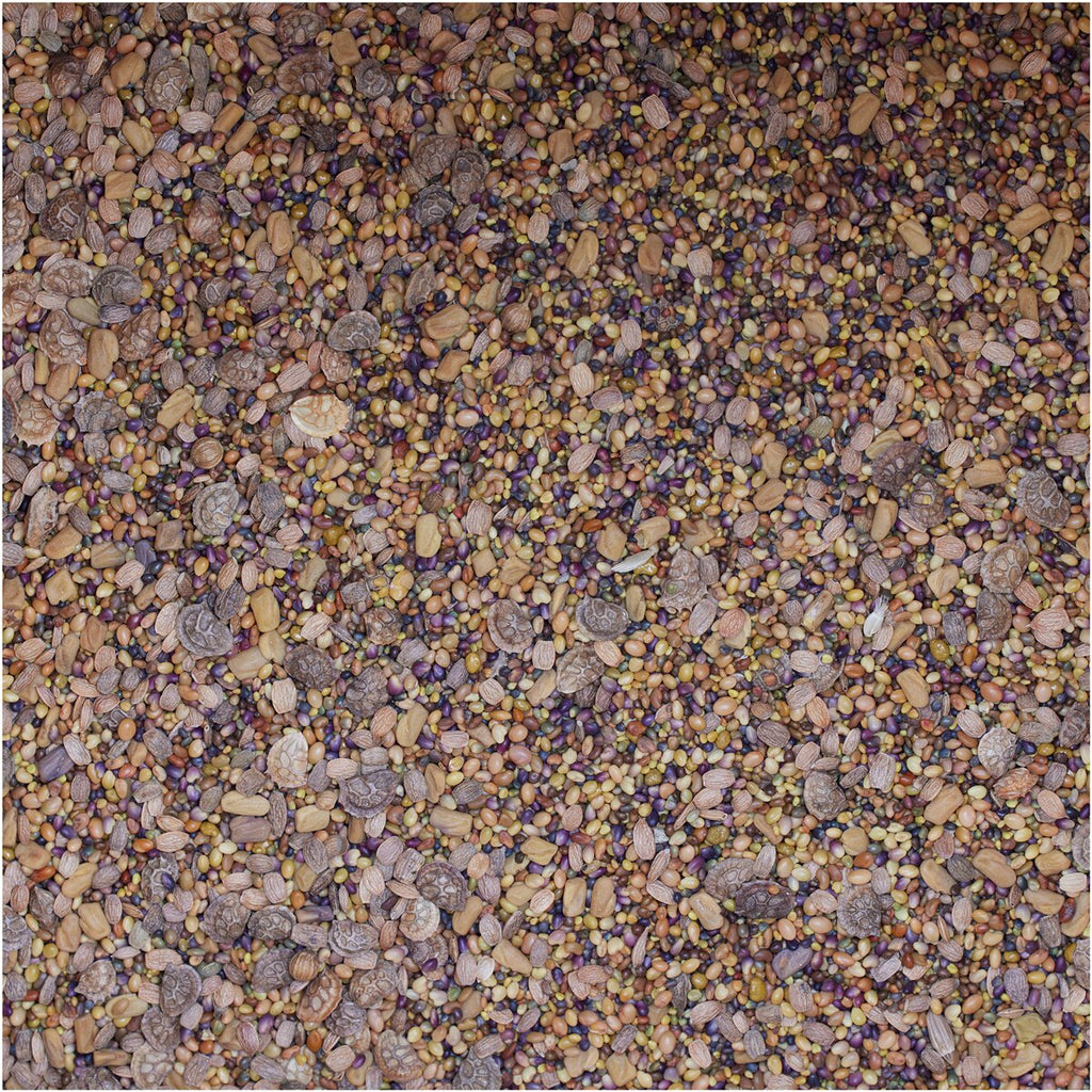 BSV Saaten Seed mix WaidGreen® legume mix 2 kg