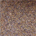 BSV Saaten Seed mix WaidGreen® legume mix 2 kg