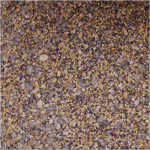 BSV Saaten Seed mix WaidGreen® legume mix 2 kg