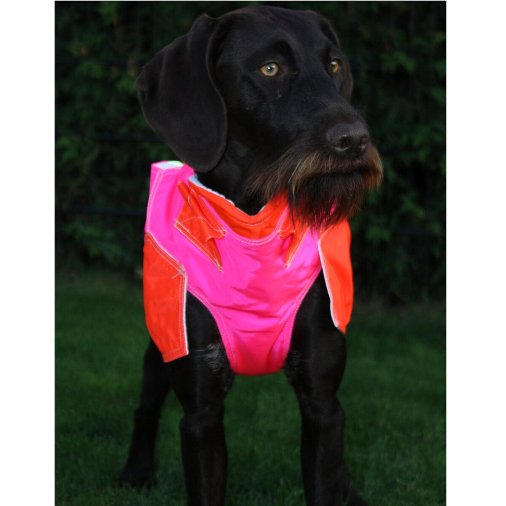 Out Dog Dog protective vest standard (Chest circumference 80 cm – female)