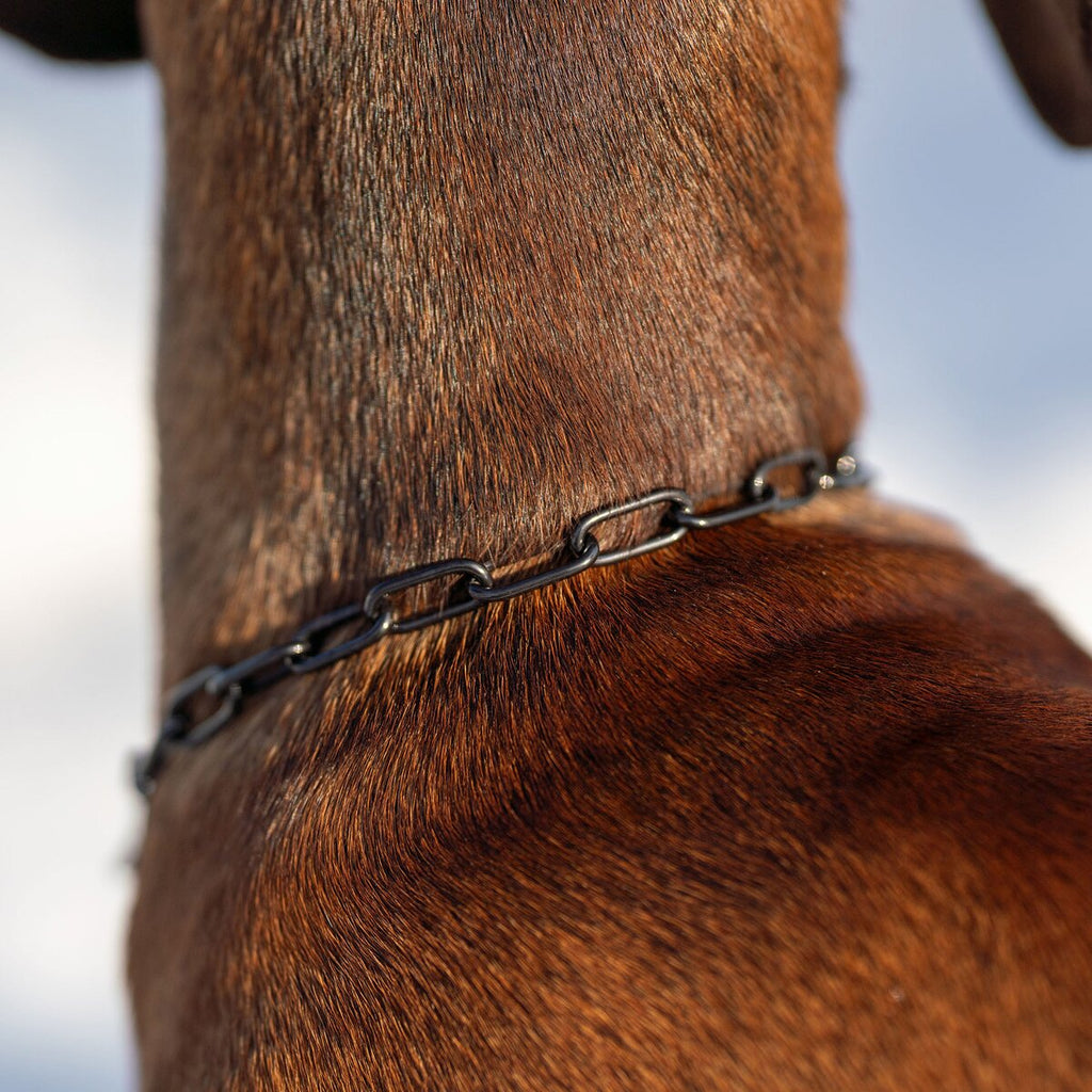 Sprenger Necklace with Sprenger-Hook (Black - 36cm)