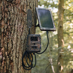 Seissiger Wildlife camera Pro-Cam LTE - SUPERSIM Edition