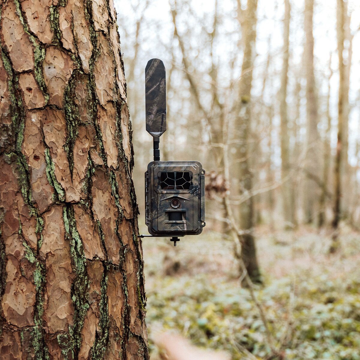 Seissiger Wildlife camera Pro-Cam LTE - SUPERSIM Edition