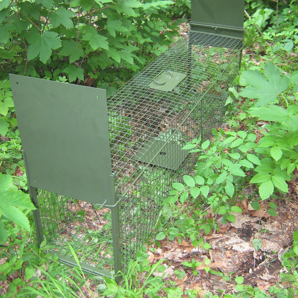 Live catch trap – two trap doors ((LxWxH): approx. 150x30.5x38 cm, weight: 12.5 kg)