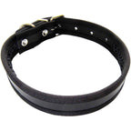 Heim Collar with mesh insert (Length 30cm)