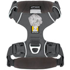 Ruffwear Front Range® dog harness new model (Size S (chest circumference 56-69 cm) – Basalt Gray)