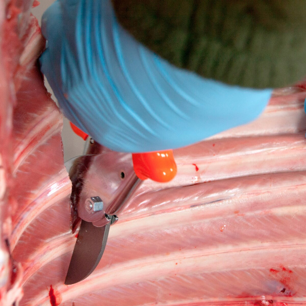 LÖWE Hunting scissors for breaking and breaking