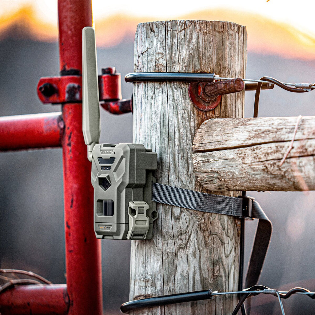 Spypoint Wildlife camera Flex-M