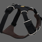 Ruffwear Front Range® dog harness new model (Size XXS (chest 33-43 cm) – Basalt Gray)