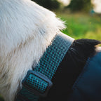 Ruffwear Collar Hi & Light (Neck circumference 51-66 cm - Basalt Gray)