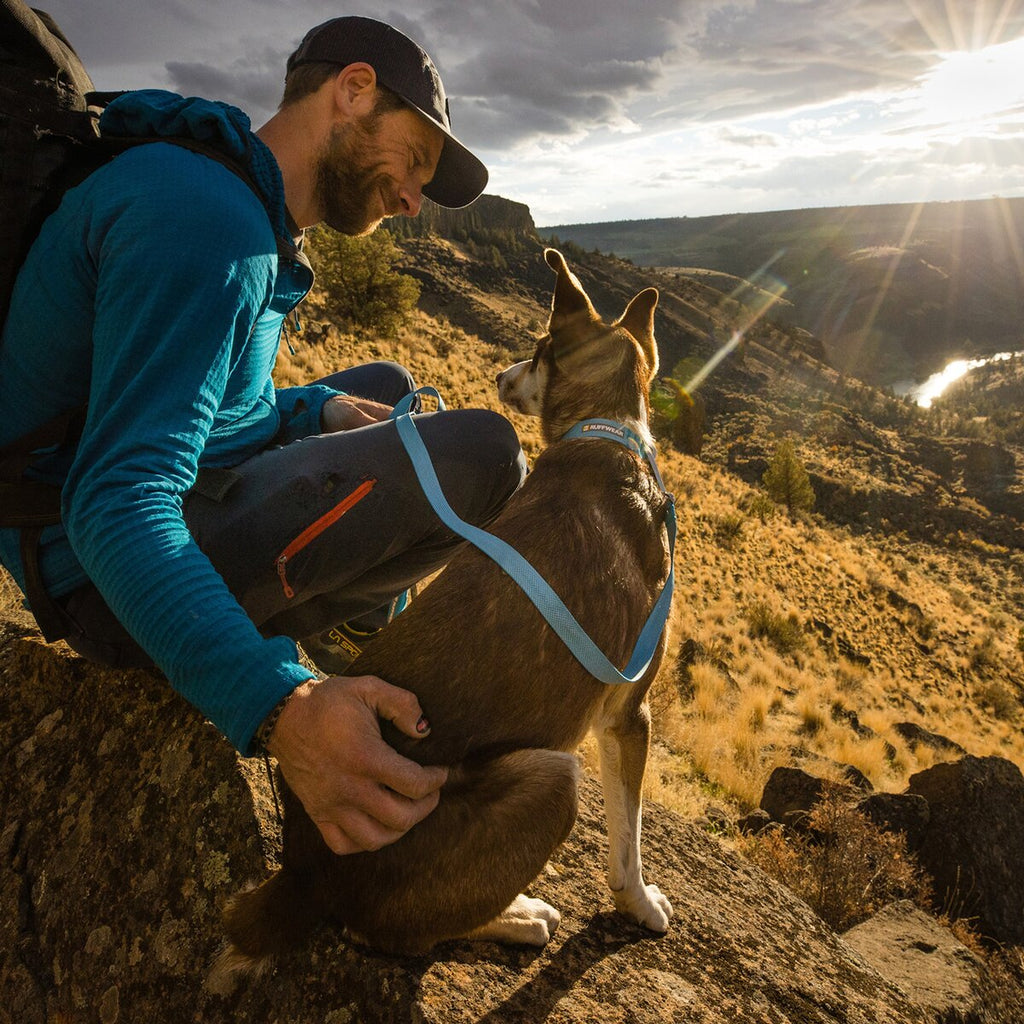 Ruffwear Collar Hi & Light (Neck circumference 51-66 cm - Blue Dusk)