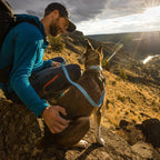 Ruffwear Collar Hi & Light (Neck circumference 51-66 cm - Blue Dusk)