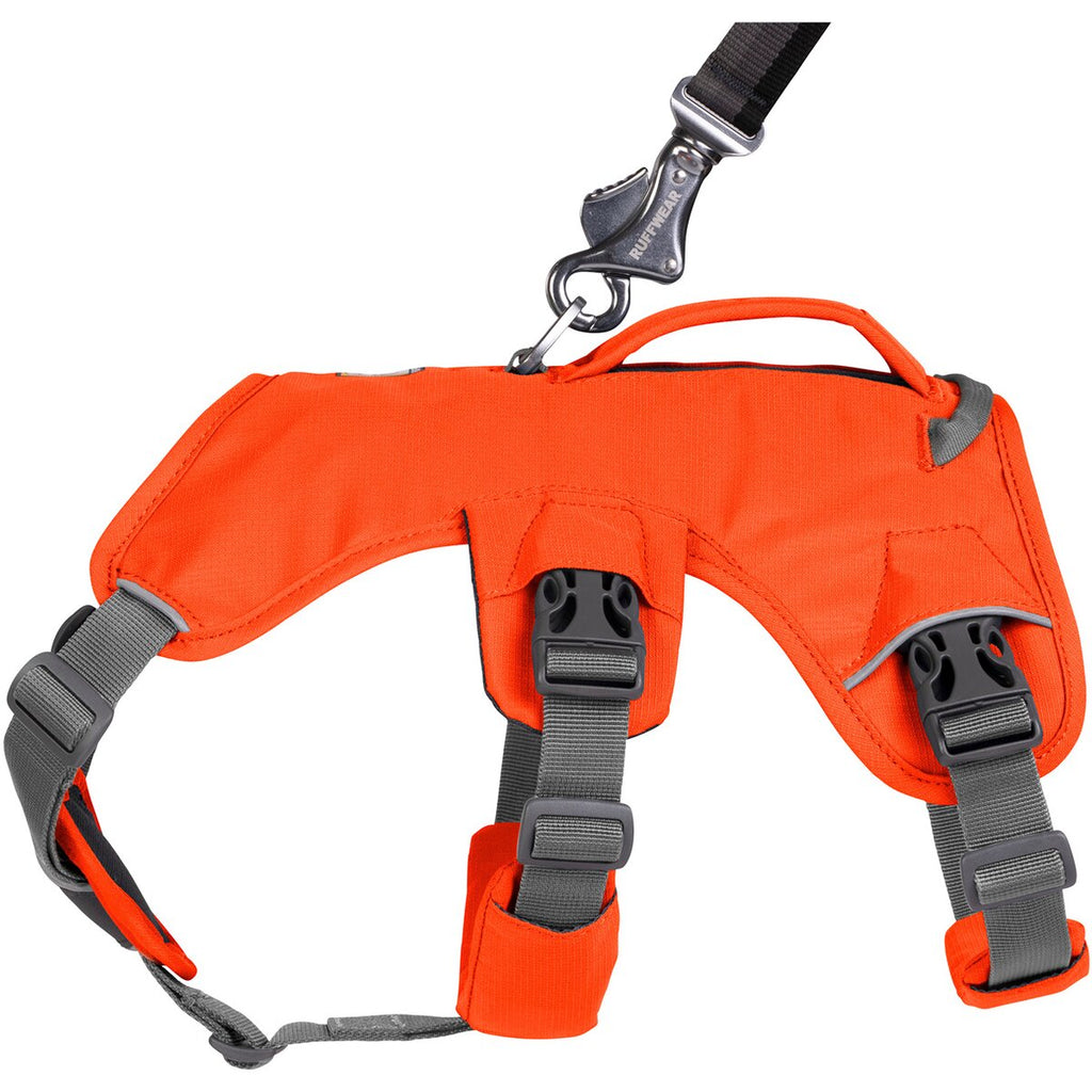 Ruffwear Dog Harness Web Master (Size L/XL (Chest 81-107cm) - Blaze Orange)