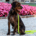 Sprenger Rubberized leash – 3-way adjustable (Signal yellow)