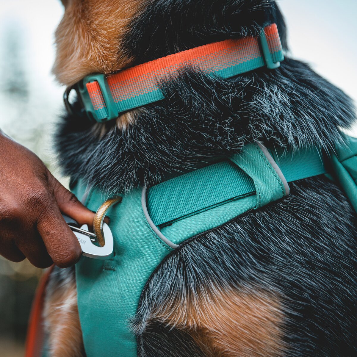 Ruffwear Collar Front Range® new model (Neck circumference 28-36 cm - Spring Fade)