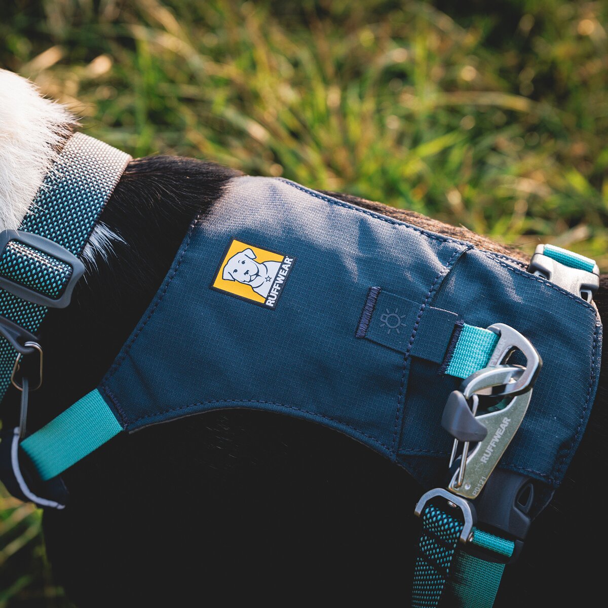 Ruffwear Hi & Light™ Harness dog harness (Size L/XL (chest 81-107 cm) – Basalt Gray)