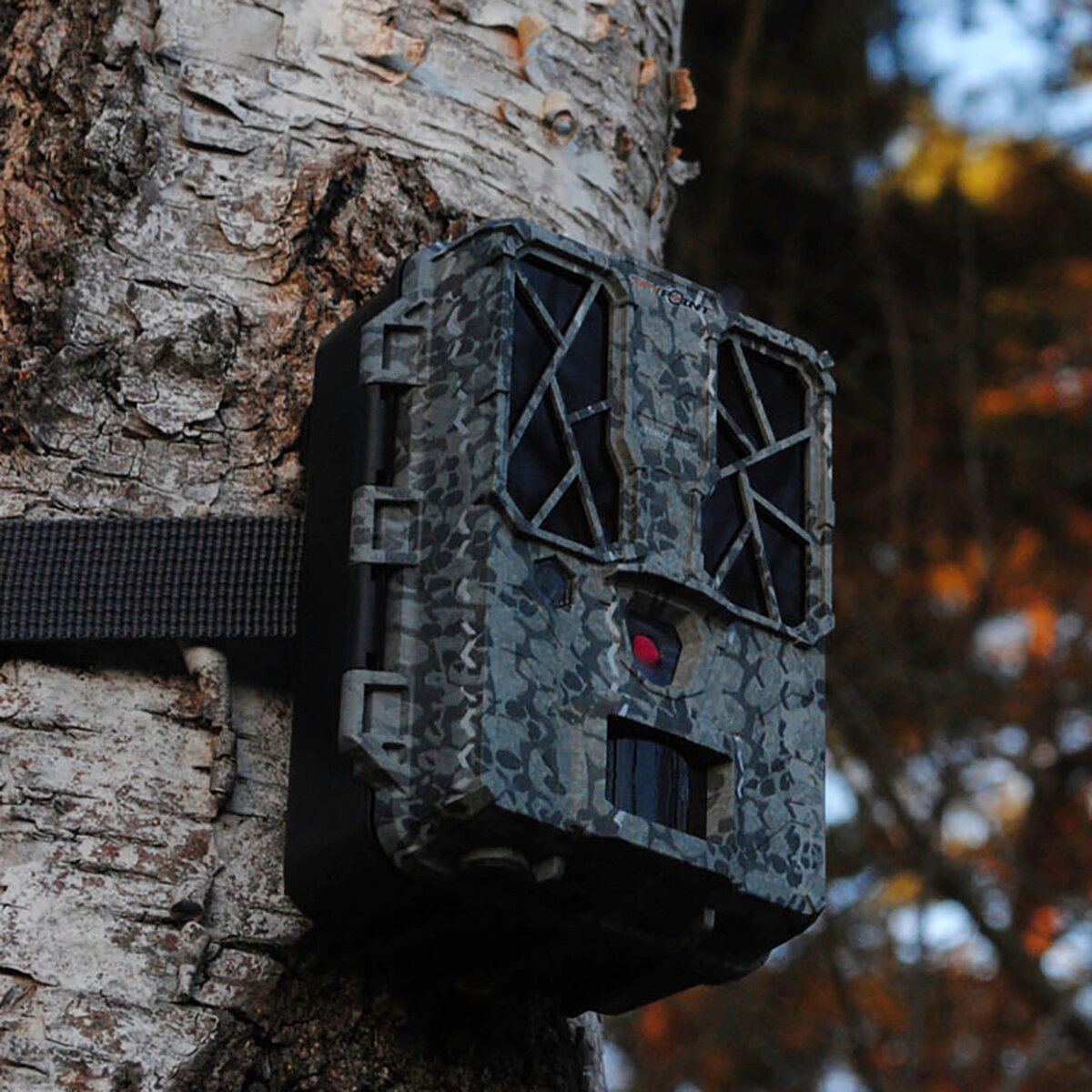 Spypoint Force Pro wildlife camera