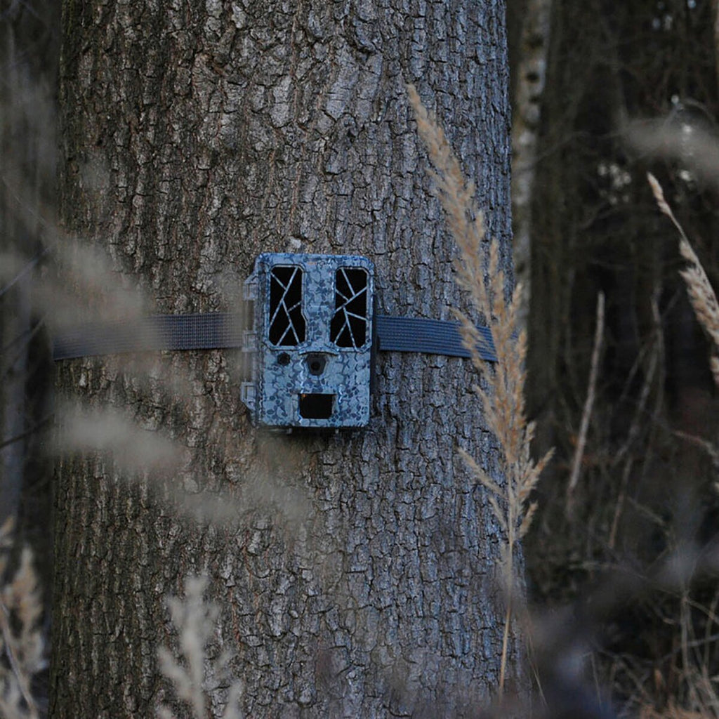 Spypoint Force Pro wildlife camera
