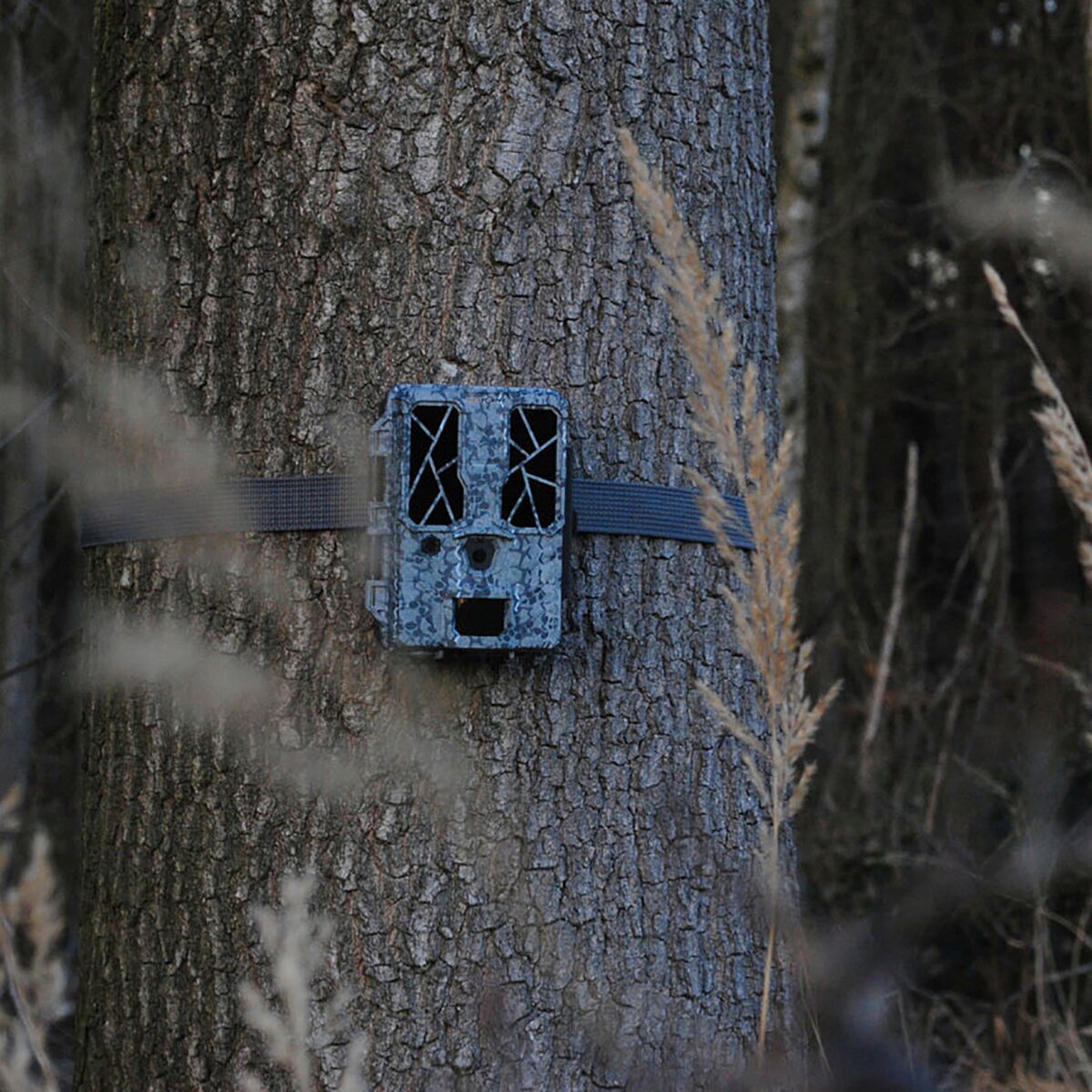 Spypoint Force Pro wildlife camera