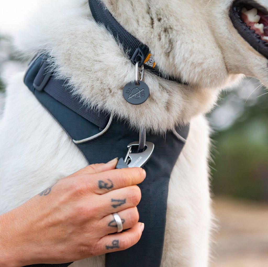Ruffwear Front Range® dog harness new model (Size L/XL (chest 81-107 cm) – Basalt Gray)