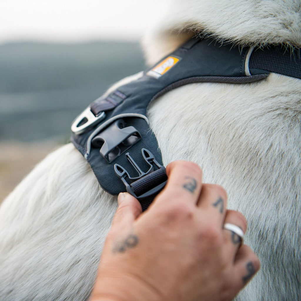 Ruffwear Front Range® dog harness new model (Size XXS (chest 33-43 cm) – Basalt Gray)