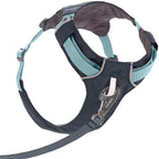 Ruffwear Hi & Light™ Harness dog harness (Size XXXS (chest 23-33 cm) – Basalt Gray)