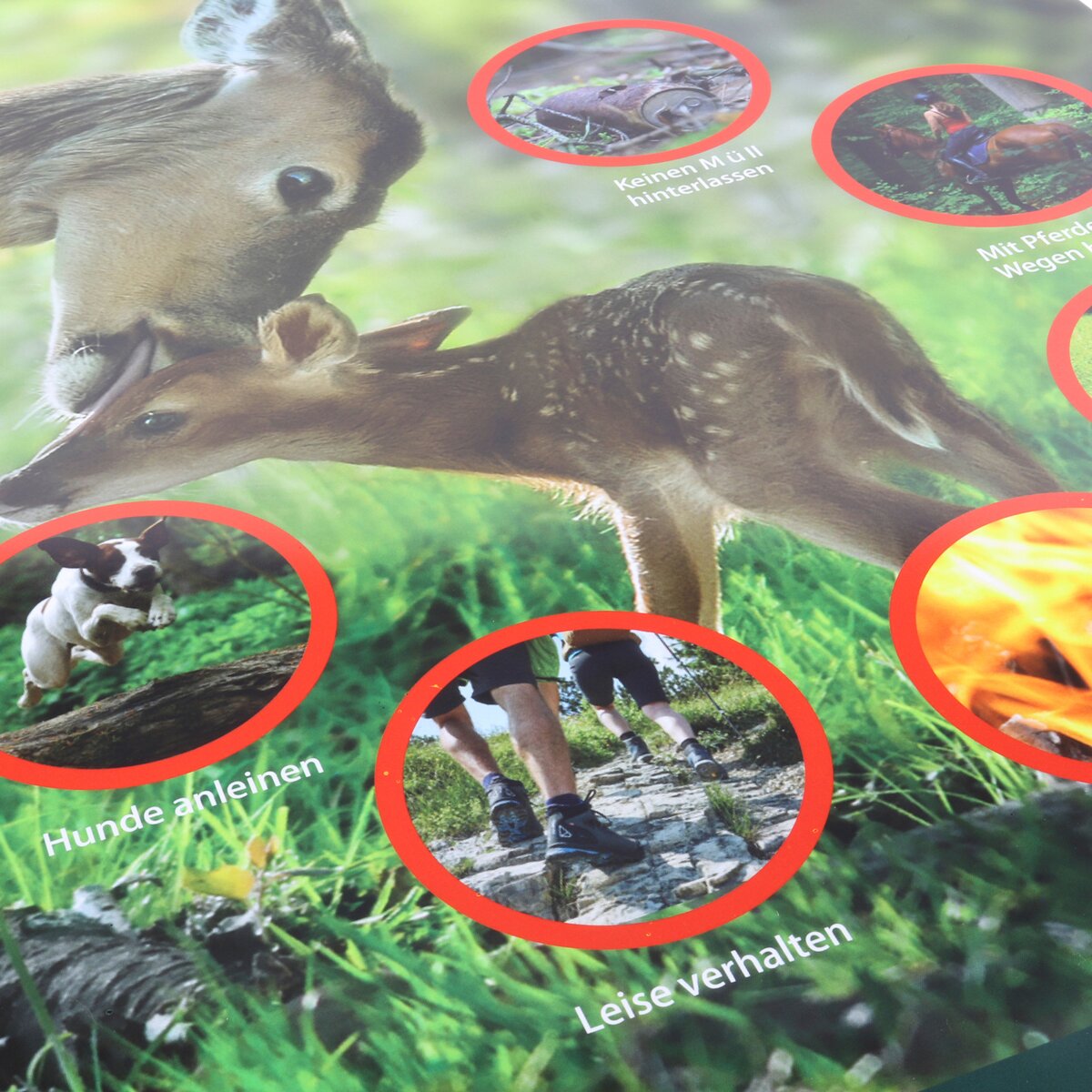Waidgerechte Jagd Respect for wildlife sign – pack of 3