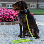 Sprenger Rubberized leash – 3-way adjustable (Signal yellow)