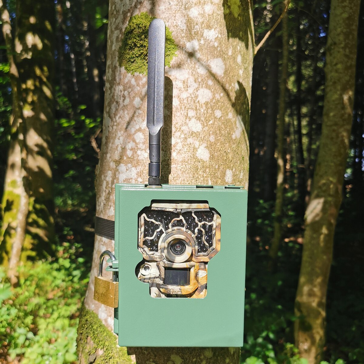 Reviermanager Metal housing for wildlife camera RM4 / RM4eco