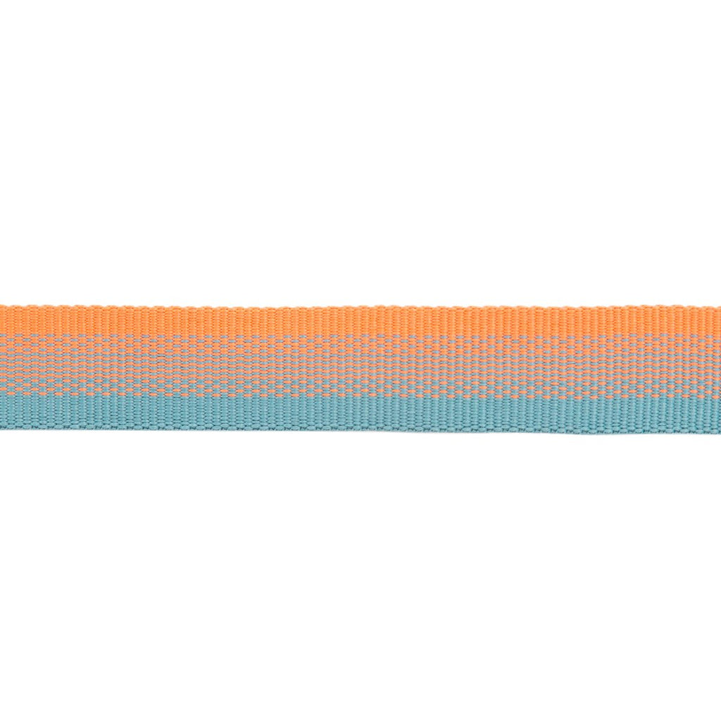 Ruffwear Collar Front Range® new model (Neck circumference 51-66 cm - Spring Fade)