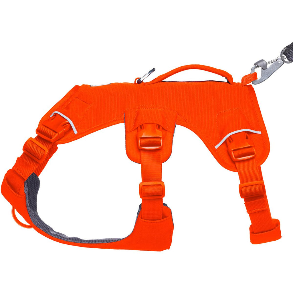 Ruffwear Dog Harness Web Master™ (Size L/XL (Chest 81-107cm) - Blaze Orange)