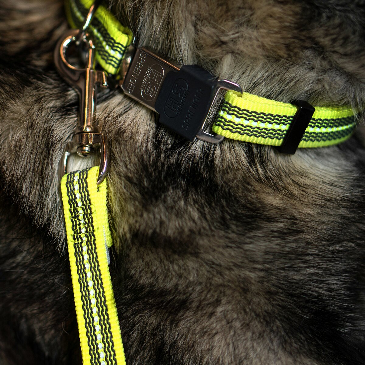 Sprenger Rubberized dog leash without hand strap (Signal yellow – length 2 m)